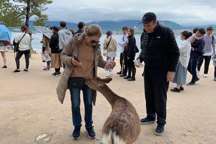 Miyajima Half-Day Private Tour: Explore Itsukushima Shrine & Mount Misen photo 4
