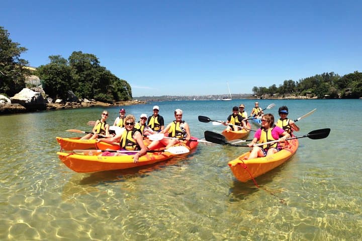 Paddle North Harbour: 4-Hour Double Kayak Hire from Manly photo 4