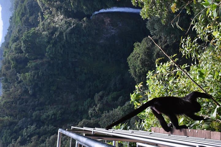 Mistico Park Hanging Bridges & La Fortuna Waterfall — Arenal Day Trip Guide photo 4