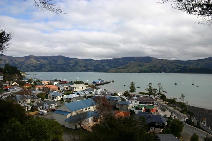 Akaroa Shore Excursion: Harbour Views, Cheese Tasting & Giant's House Gardens photo 4