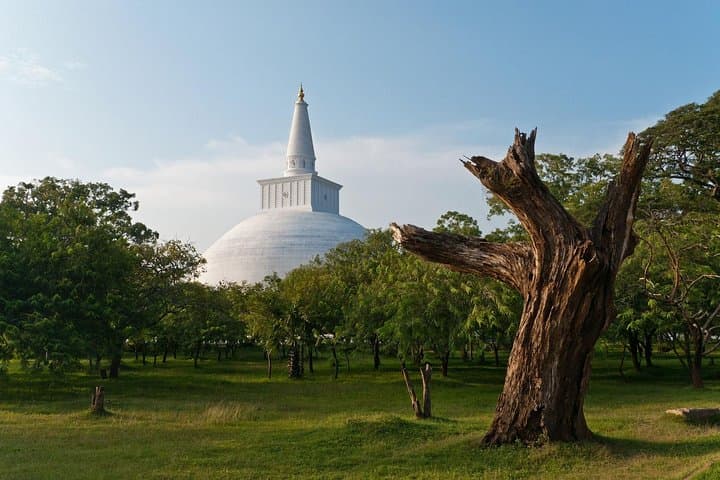 2-Day Wild Wonders & Sacred Spaces Tour: Wilpattu Safari and Anuradhapura from Galle photo 3