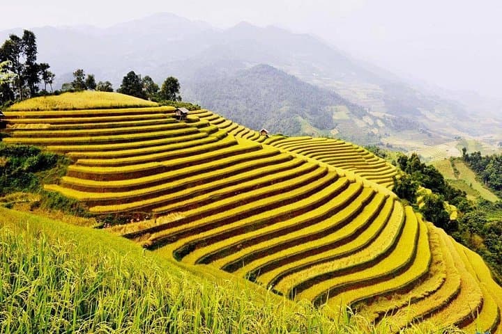 Ha Giang Loop Trekking 4 Days 3 Nights – Ma Pi Leng Pass, Dong Van Plateau & Homestays photo 3