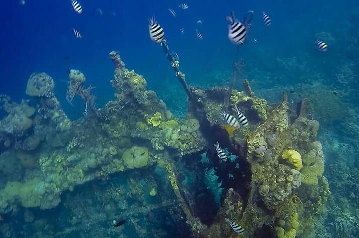 Coron Island Tour B — Barracuda Lake, Twin Lagoon & Skeleton Wreck (Private)