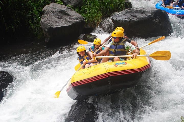 Telaga Waja River Rafting Bali — Rapids, Rice Fields & Besakih Views photo 3