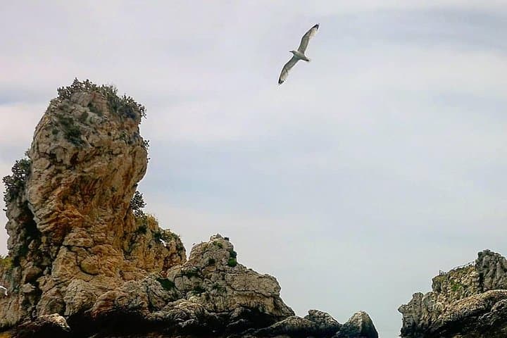 Taormina Classic Boat Tour: Private Coastal Cruise & Snorkeling Experience photo 4