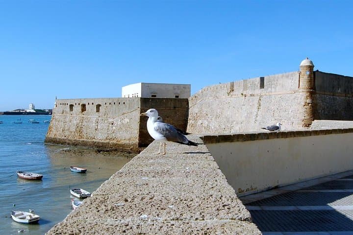 Cadiz Private Walking Tour — Historic Monuments, Fish Market & La Caleta Beach photo 6