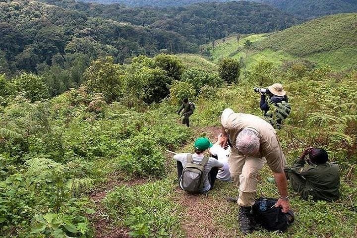 Gorilla Trekking in Bwindi: 3-Day Amazing Gorillas in the Mist Safari