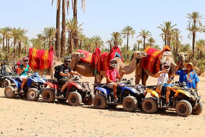 Camel Ride in Marrakech Palmgrove: 1-Hour Desert Experience with Nomad Tea photo 3