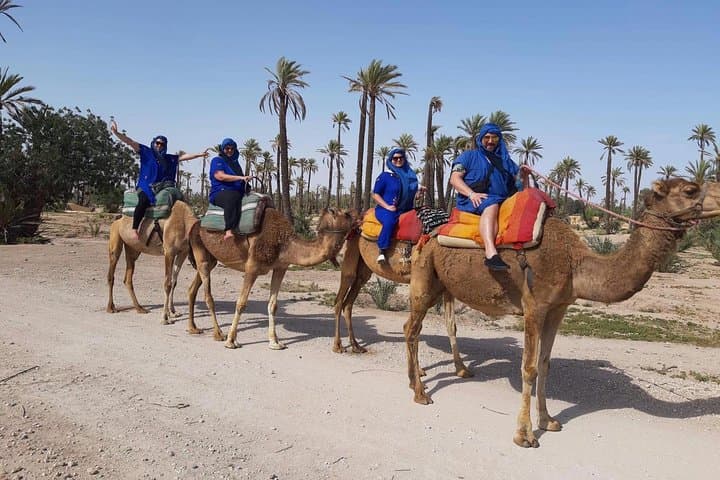 Camel Ride in Marrakech Palmgrove: 1-Hour Desert Experience with Nomad Tea