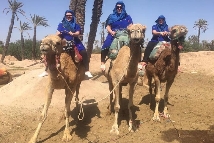 Camel Ride in Marrakech Palmgrove: 1-Hour Desert Experience with Nomad Tea photo 2