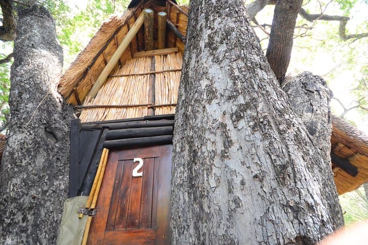 5-Day Treehouse & Lodge Safari in Kruger National Park: Big Five, Bush Walks & Blyde River Canyon photo 5