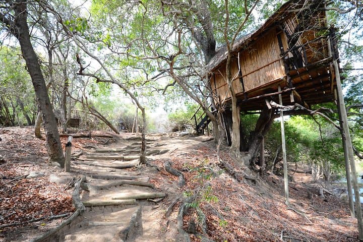 3-Day Lodge and Treehouse Kruger National Park Safari: Balule Game Drives, Treehouse Stay & Blyde Canyon