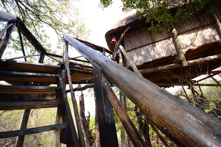 6-Day Lodge & Treehouse Kruger Safari — Big Five, Bushwalks & Blyde Canyon photo 2