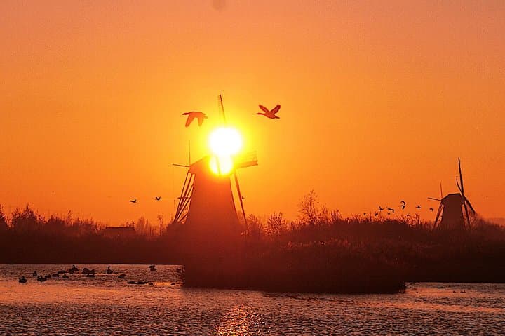 Kinderdijk Photography Tour — Windmills, Waterways & Cheese Tasting
