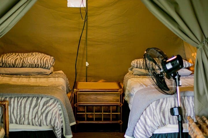 3-Day Budget Tent Safari in Kruger National Park — Klaserie River, Marc’s Camp & Blyde River Canyon photo 4