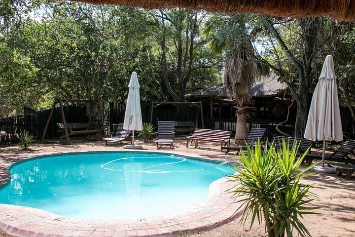 3-Day Budget Tent Safari in Kruger National Park — Klaserie River, Marc’s Camp & Blyde River Canyon photo 6
