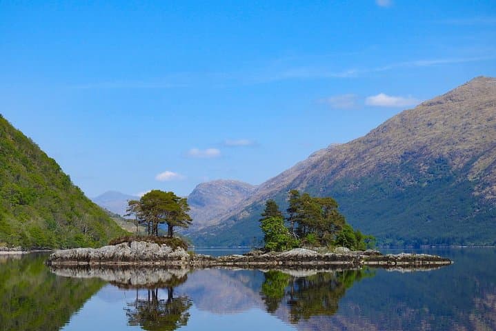 Gaskan Cruise: Golden Eagles on Loch Shiel from Glenfinnan photo 2