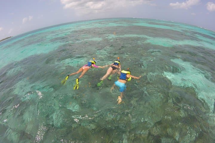 Coastline Snorkel and BBQ in Tobago: Buccoo Reef Dolphins, Turtles & Open-Boat BBQ photo 3