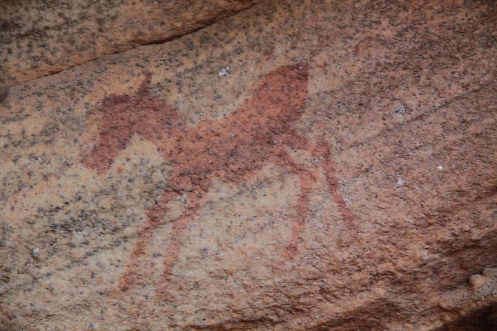Cederberg Rock Art Day Trip from Cape Town — Private Guided San Paintings & Wilderness photo 6