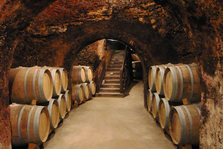 Madrid Countryside Wineries Guided Tour — Tagus Valley Wine Tasting & Tapas photo 2