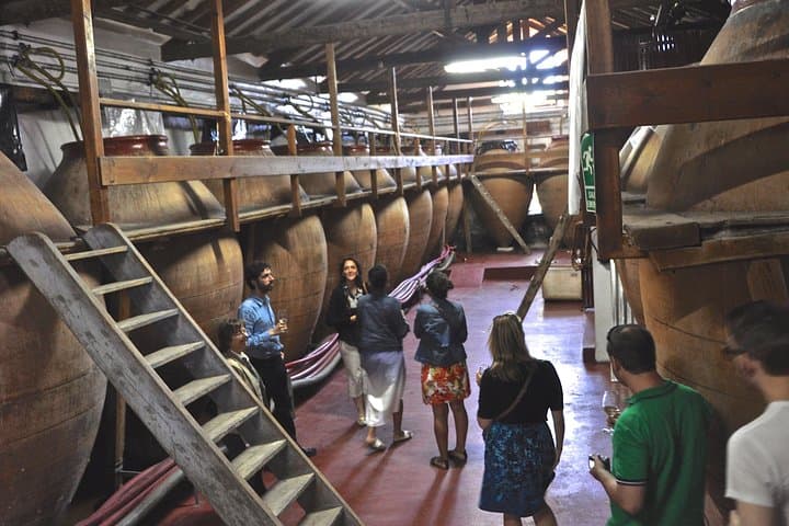 Madrid Countryside Wineries Guided Tour — Tagus Valley Wine Tasting & Tapas photo 3