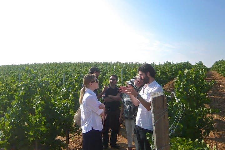 Madrid Countryside Wineries Guided Tour — Tagus Valley Wine Tasting & Tapas