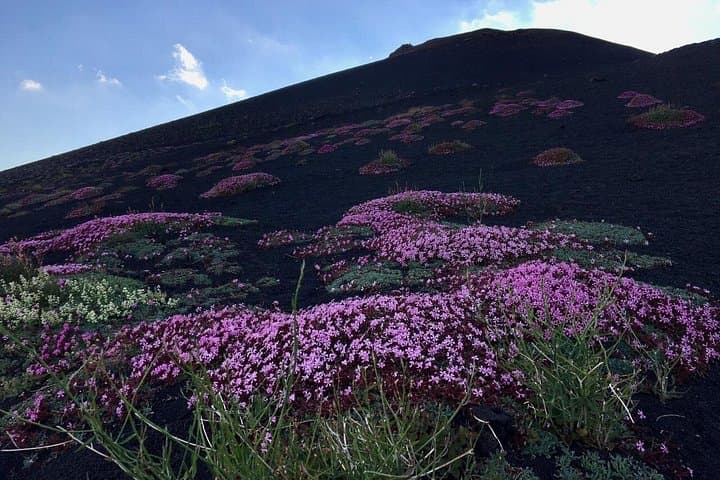 Etna Grantour Full-Day 4x4 & Trekking: Volcano Trails, Lava Tubes and Farm Lunch photo 4