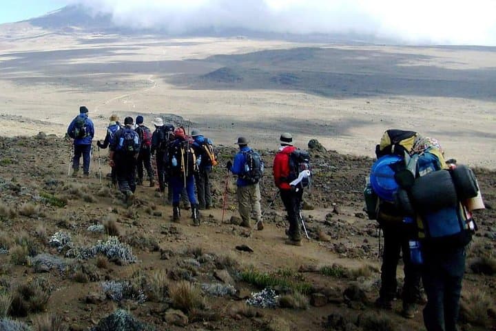 Rongai Route Kilimanjaro 7-Day Summit: Northern Approach to Uhuru Peak photo 2
