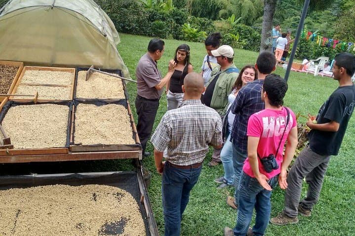 Serranía del Nudo Nature & Coffee Tour — Butterflies, Andean Vistas and Farm Tastings photo 4