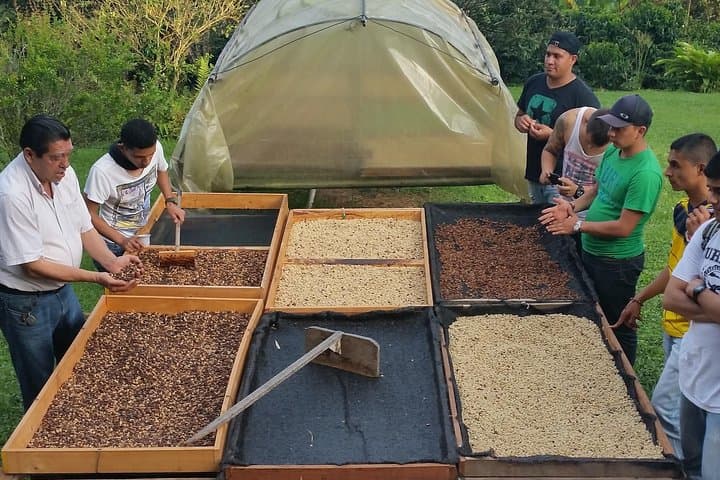 Serranía del Nudo Nature & Coffee Tour — Butterflies, Andean Vistas and Farm Tastings photo 5