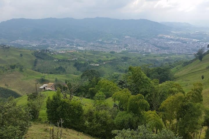 Serranía del Nudo Nature & Coffee Tour — Butterflies, Andean Vistas and Farm Tastings photo 6