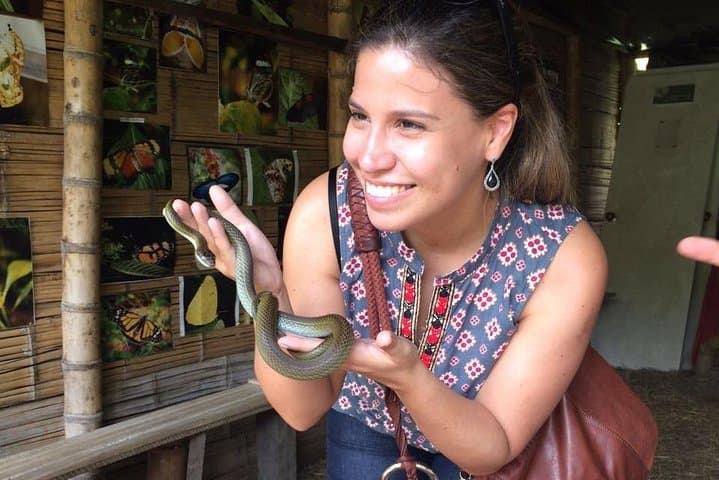Serranía del Nudo Nature & Coffee Tour — Butterflies, Andean Vistas and Farm Tastings