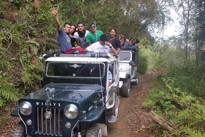 Serranía del Nudo Nature & Coffee Tour — Butterflies, Andean Vistas and Farm Tastings photo 2