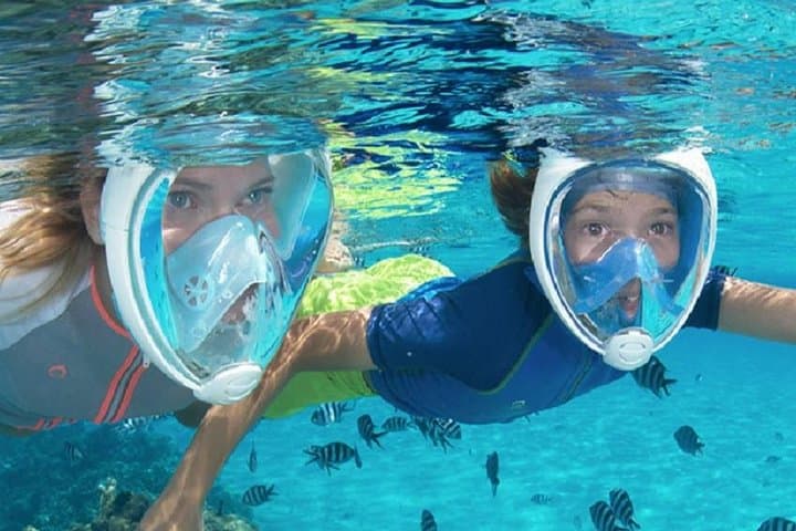 Introductory Scuba Diving in Hurghada: Two Shallow Dives on the Red Sea photo 4