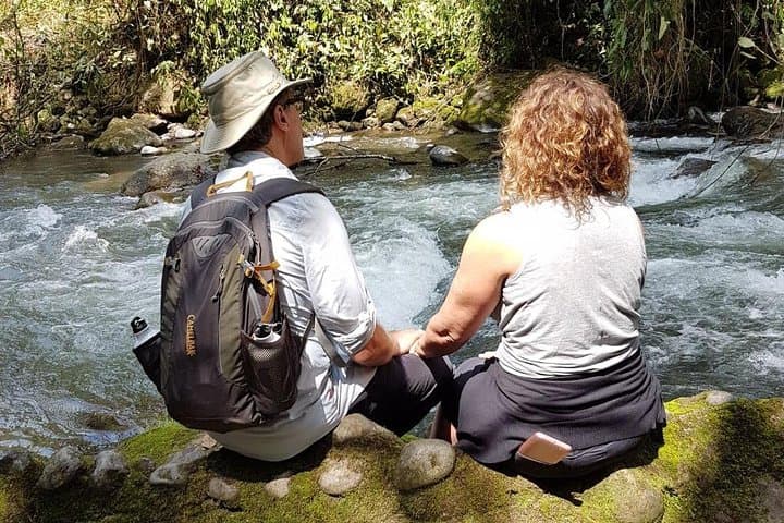 Otún Quimbaya Cloud Forest and Waterfall Day Hike from Pereira