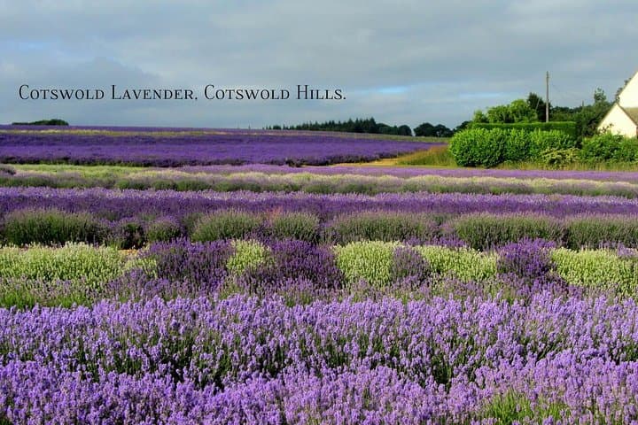 Bespoke Cotswold Tour: Private Luxury Day Trip from Oxford photo 2
