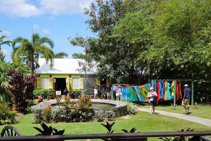 St Kitts Half-Day Island Tour with Traditional Kittitian Lunch photo 6