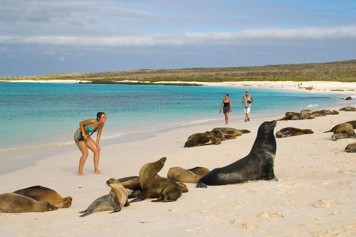 4-Day Wild San Cristóbal Tour: Kicker Rock, Lobos Island & La Loberia photo 3