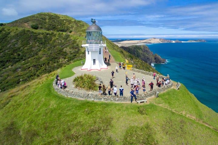 Far North New Zealand Coach Tour: 90 Mile Beach & Cape Reinga Day Trip from Paihia
