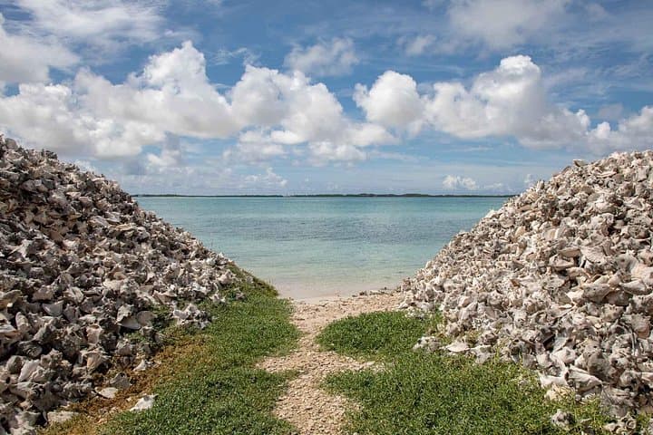 Bonaire Private Photography Tour — Salt Pier, Rincon & Indian Inscriptions photo 3