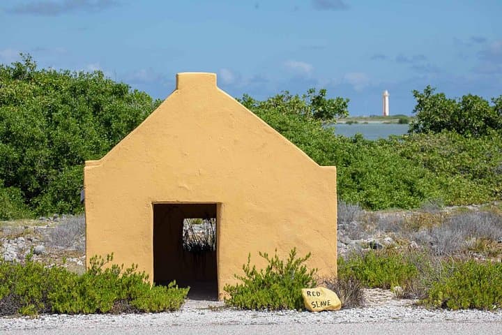 Bonaire Private Photography Tour — Salt Pier, Rincon & Indian Inscriptions photo 4