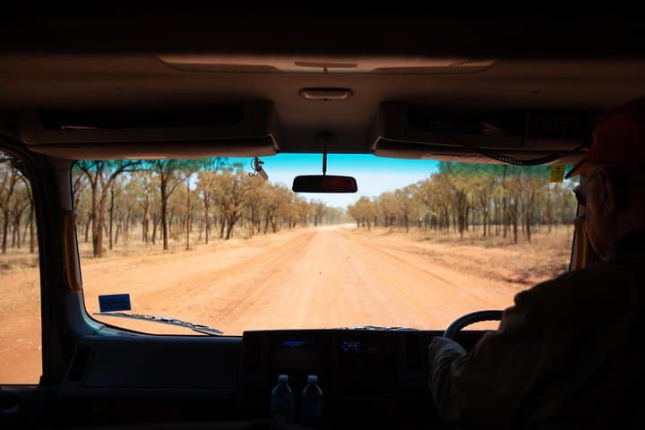 Daintree to Chillagoe: 2-Day Rainforest and Outback Adventure from Cairns photo 6