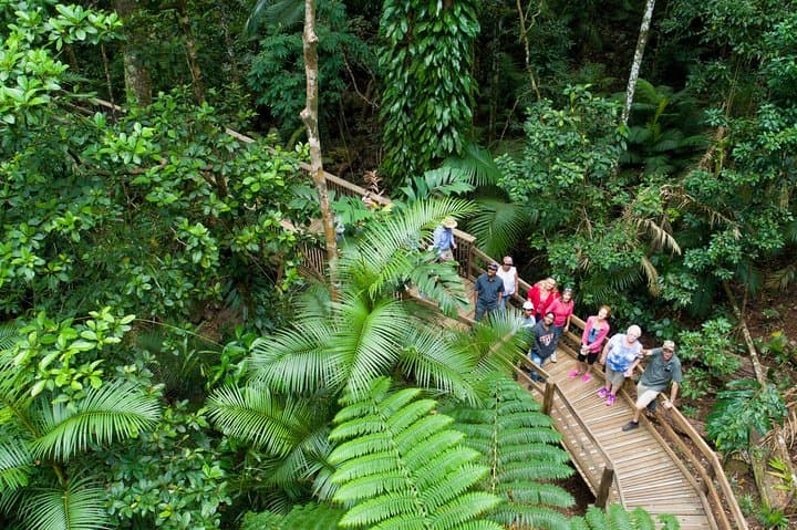 3-Day Great Barrier Reef, Daintree & Chillagoe Caves Adventure from Cairns photo 6