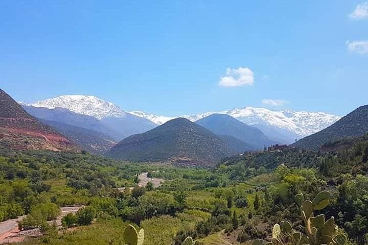 Atlas Mountain Day Trip: Berber Villages, Waterfalls & Toubkal Trails from Marrakech photo 4
