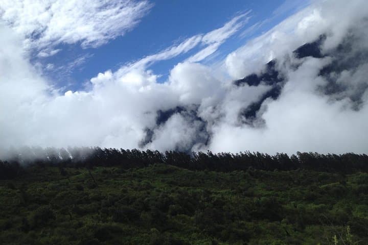 Gosainkunda Lake Trek 4200m: 5-Day High-Altitude Trek in Langtang photo 6