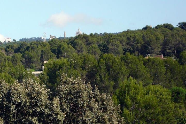 Barcelona Contrasts: Montjuïc Cable Car, Carretera de les Aigües & Park Güell in 4 Hours photo 4