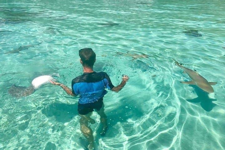 Custom Jet Ski Tours in Moorea — Private Lagoon Rides with Snorkel & Lunch photo 2