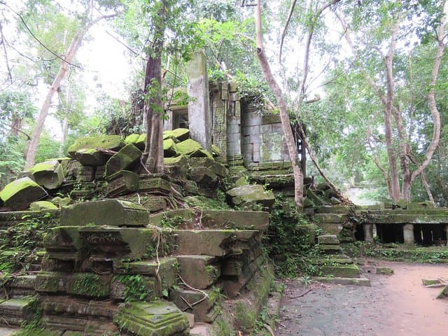 Beng Mealea & Koh Ker: Full-Day Off-Beat Temple Tour from Siem Reap photo 4