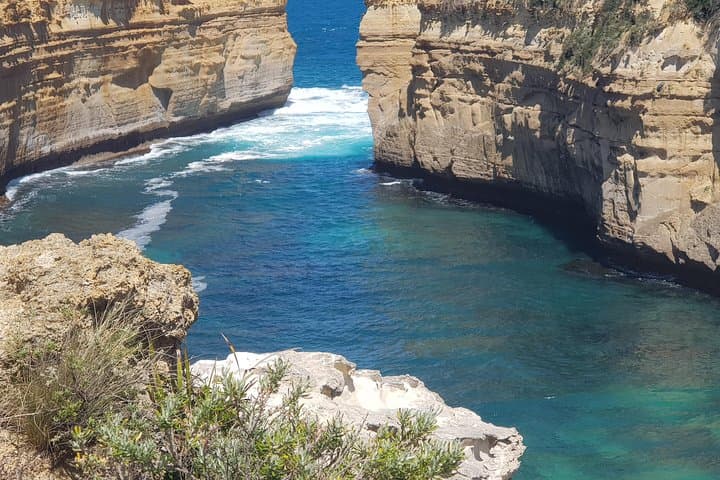 Three-Day Great Ocean Road Adventure: Waterfalls, Otway Fly & Twelve Apostles photo 4