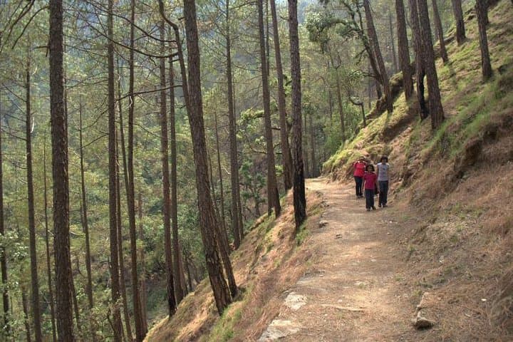 Binsar Sanctuary Walking Holiday: Easy Kumaon Hikes & Village Stays photo 4